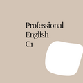 Professional English Standard